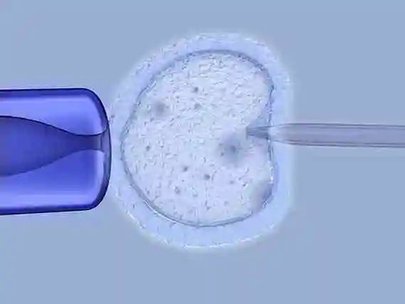 杭州当多元家庭拥抱新生命：解锁 “彩虹生子” 的温暖密码