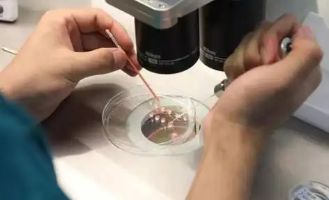 杭州打破偏见的生命礼赞：同性生子背后的爱与坚守